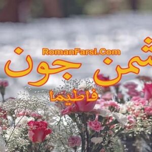 رمان دشمن جون