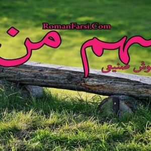 رمان سهم من