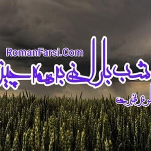 رمان یک شب بارانی بی همه چیز