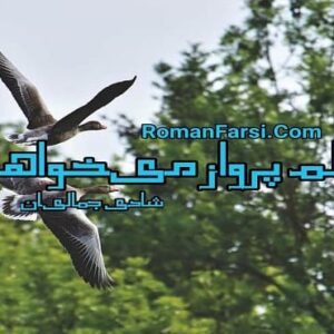 رمان دلم پرواز می خواهد