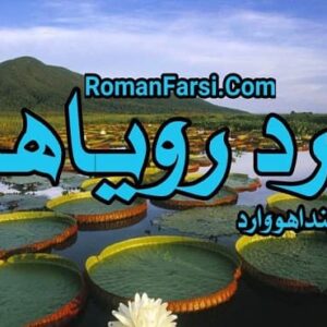 رمان مرد رویاها