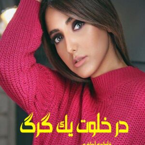 رمان در خلوت یک گرگ