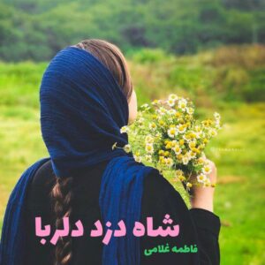 رمان شاه دزد دلربا