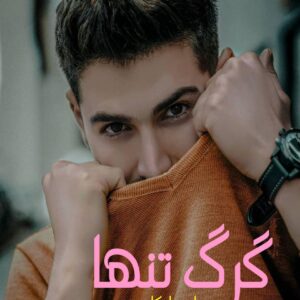رمان گرگ تنها