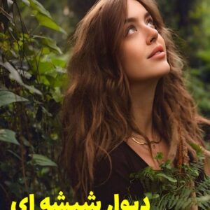 رمان دیوار شیشه ای