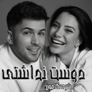 دانلود رمان دوست نداشتی