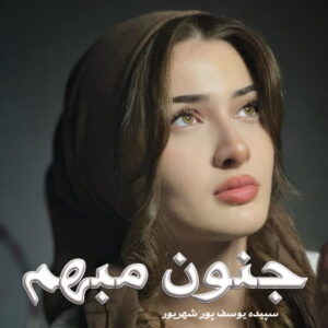 دانلود رمان جنون مبهم